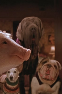 Babe: Pig in the City [That'll Do]